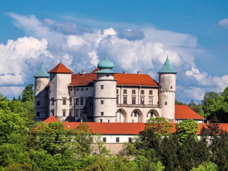Le Château de Nowy Wisnicz, Malopolska en Pologne
